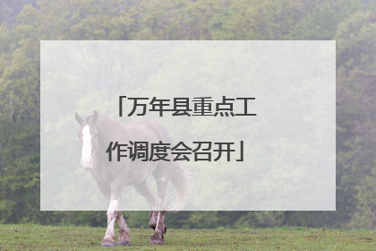 万年县重点工作调度会召开