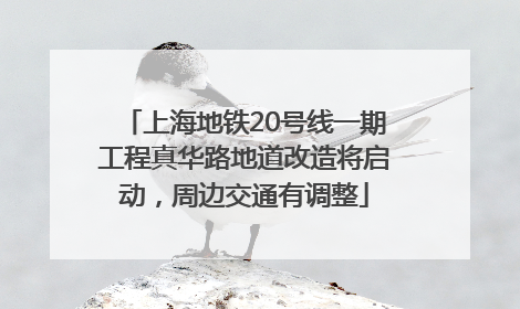 上海地铁20号线一期工程真华路地道改造将启动，周边交通有调整