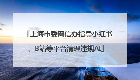 上海市委网信办指导小红书、B站等平台清理违规AI