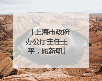 上海市政府办公厅主任王平，履新职