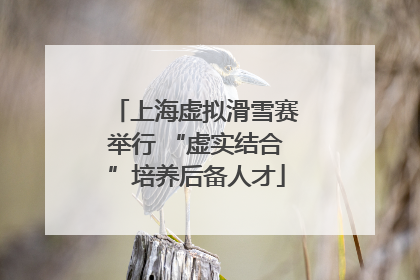 上海虚拟滑雪赛举行 “虚实结合”培养后备人才