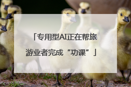 专用型AI正在帮旅游业者完成“功课”
