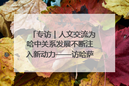 专访｜人文交流为哈中关系发展不断注入新动力——访哈萨克斯坦文化与信息部部长巴拉耶娃