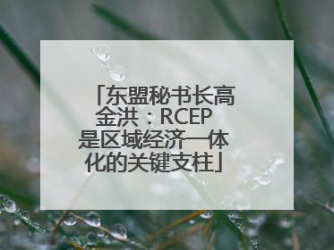 东盟秘书长高金洪：RCEP是区域经济一体化的关键支柱