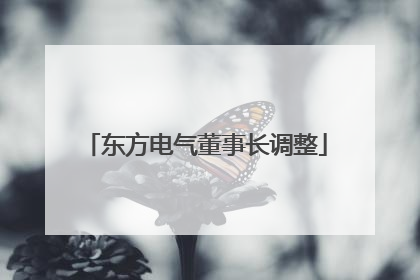 东方电气董事长调整