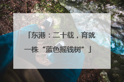 东港：二十载，育就一株“蓝色摇钱树”