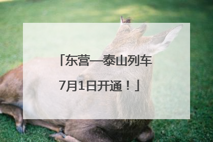 东营—泰山列车7月1日开通！