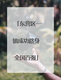 东营区一镇成功跻身全国百强