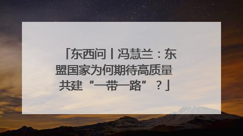 东西问丨冯慧兰：东盟国家为何期待高质量共建“一带一路”？