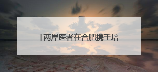 两岸医者在合肥携手培训贵州毕节基层医师
