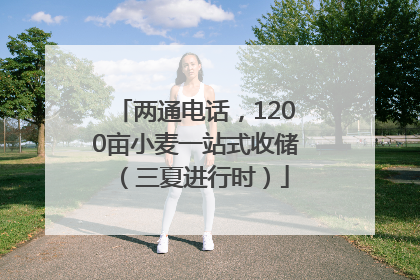 两通电话，1200亩小麦一站式收储（三夏进行时）