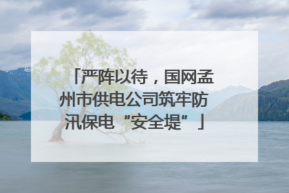 严阵以待，国网孟州市供电公司筑牢防汛保电“安全堤”