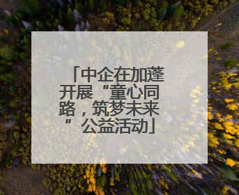 中企在加蓬开展“童心同路，筑梦未来”公益活动