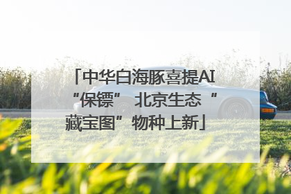 中华白海豚喜提AI“保镖” 北京生态“藏宝图”物种上新