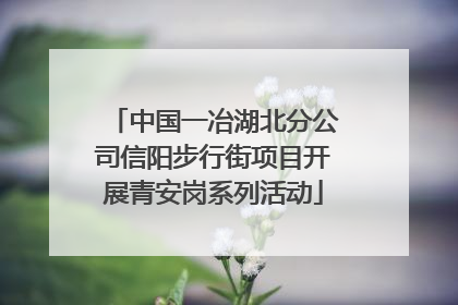 中国一冶湖北分公司信阳步行街项目开展青安岗系列活动