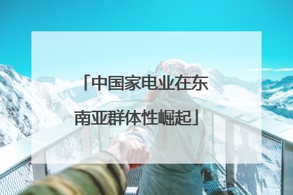 中国家电业在东南亚群体性崛起