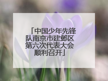 中国少年先锋队南京市建邺区第六次代表大会顺利召开