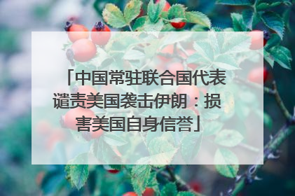 中国常驻联合国代表谴责美国袭击伊朗：损害美国自身信誉