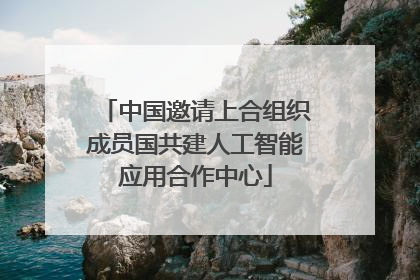 中国邀请上合组织成员国共建人工智能应用合作中心