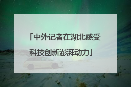 中外记者在湖北感受科技创新澎湃动力