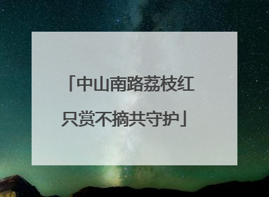 中山南路荔枝红 只赏不摘共守护
