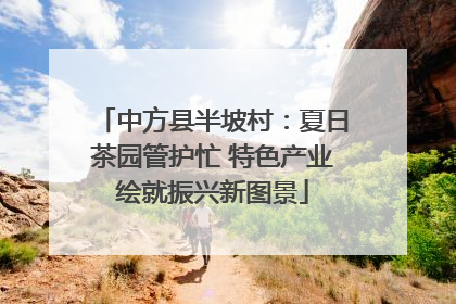 中方县半坡村：夏日茶园管护忙 特色产业绘就振兴新图景