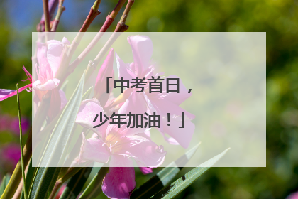 中考首日，少年加油！