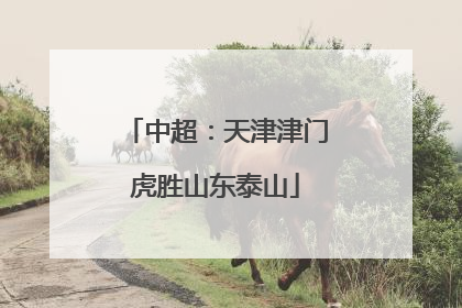 中超：天津津门虎胜山东泰山