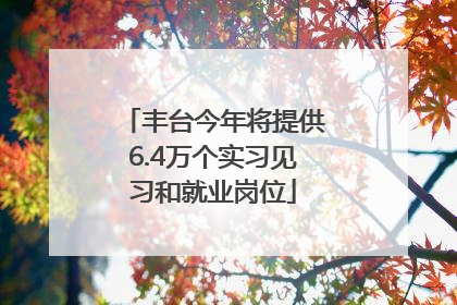丰台今年将提供6.4万个实习见习和就业岗位