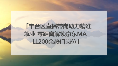 丰台区直播带岗助力精准就业 零距离解锁京东MALL200余热门岗位