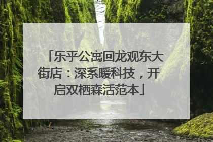 乐乎公寓回龙观东大街店：深系暖科技，开启双栖森活范本