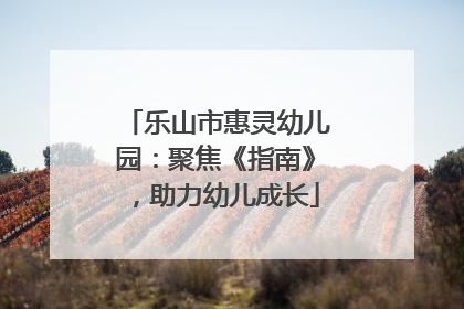 乐山市惠灵幼儿园：聚焦《指南》，助力幼儿成长
