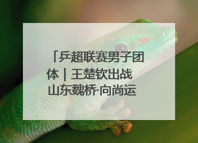 乒超联赛男子团体｜王楚钦出战 山东魏桥·向尚运动胜四川丰谷