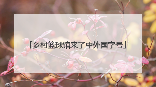 乡村篮球馆来了中外国字号