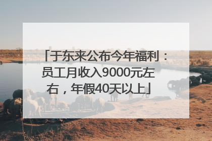 于东来公布今年福利：员工月收入9000元左右，年假40天以上