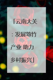 云南大关：发展筇竹产业 助力乡村振兴