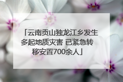 云南贡山独龙江乡发生多起地质灾害 已紧急转移安置700余人