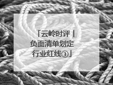 云岭时评丨负面清单划定行业红线③