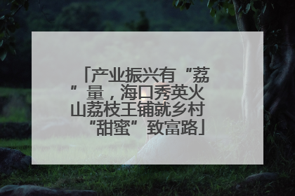 产业振兴有“荔”量，海口秀英火山荔枝王铺就乡村“甜蜜”致富路