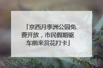 京西月季洲公园免费开放，市民假期驱车前来赏花打卡