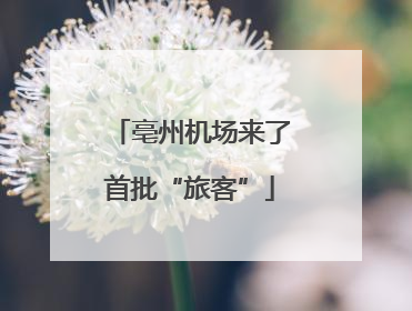 亳州机场来了首批“旅客”