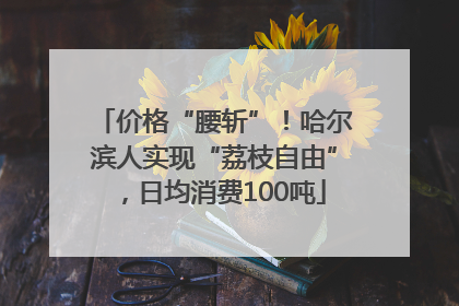 价格“腰斩”！哈尔滨人实现“荔枝自由”，日均消费100吨