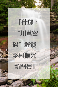 什邡：“川芎密码”解锁乡村振兴新图景