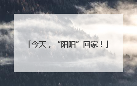今天，“阳阳”回家！