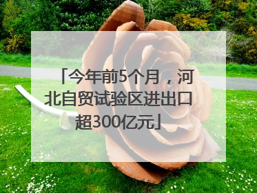 今年前5个月，河北自贸试验区进出口超300亿元