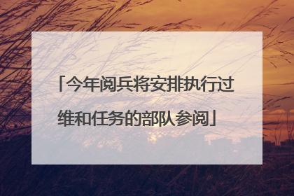 今年阅兵将安排执行过维和任务的部队参阅