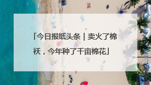 今日报纸头条｜卖火了棉袄，今年种了千亩棉花