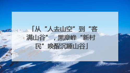 从“人去山空”到“客满山谷”，黑麋峰“新村民”唤醒沉睡山谷