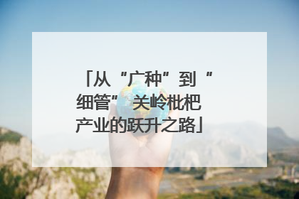 从“广种”到“细管” 关岭枇杷产业的跃升之路