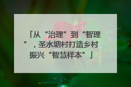 从“治理”到“智理”，圣水塘村打造乡村振兴“智慧样本”